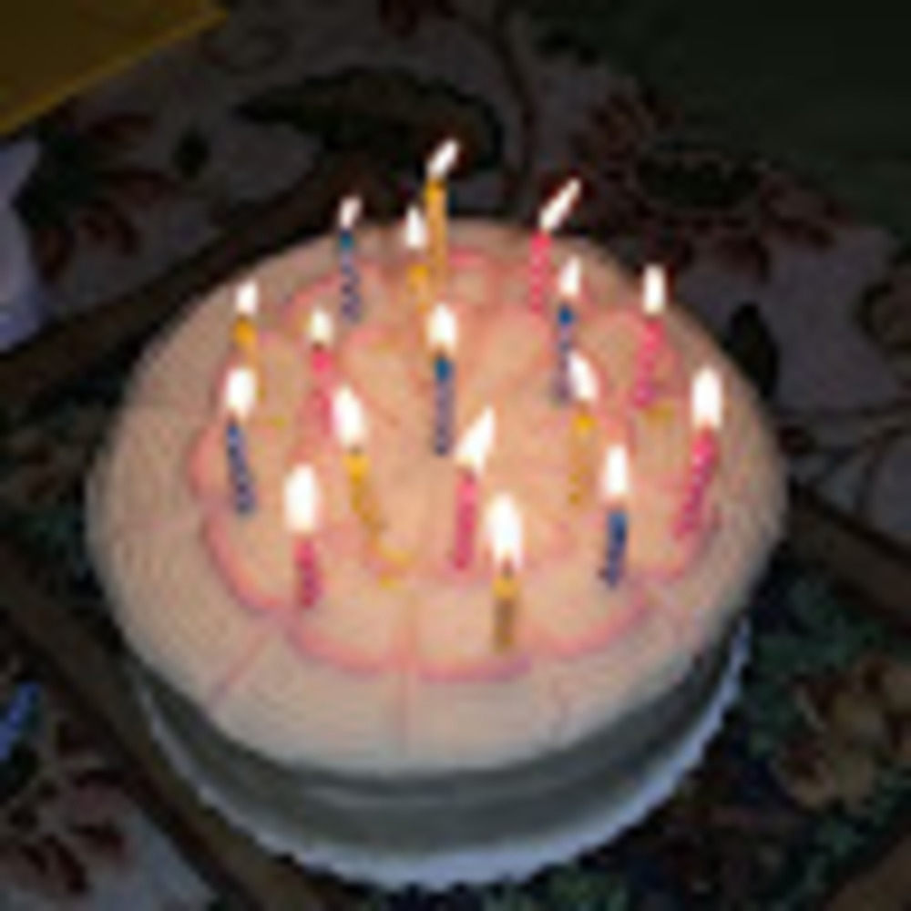 Meet your Posher, Donna